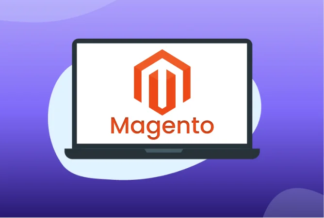 Magneto Development Services