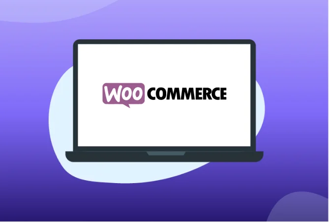 WooCommerce Development Services Company, WooCommerce Development Solutions Provider